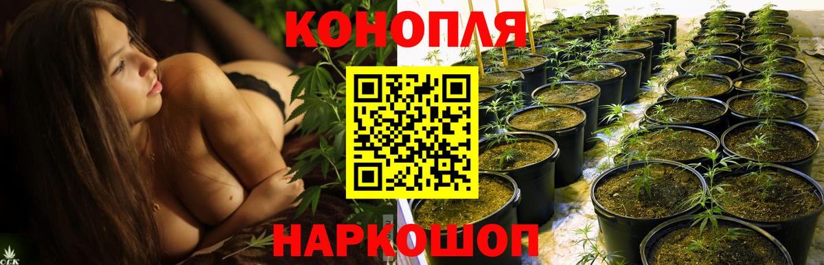 Каннабис SATIVA & INDICA  Конопля конопля  Кинешма  Вход с VPN  Бошки марихуана MAZAR  МАРИХУАНА White Widow 